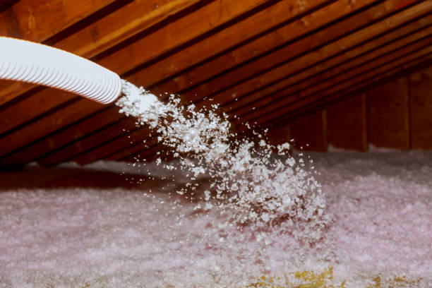 Best Geographic-Specific Insulation Services in Camden, OH