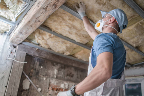Types of Insulation We Offer in Camden, OH