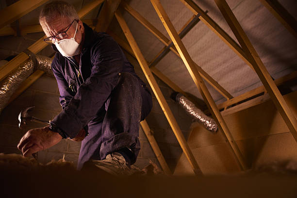 Best Energy Efficiency Insulation in Camden, OH